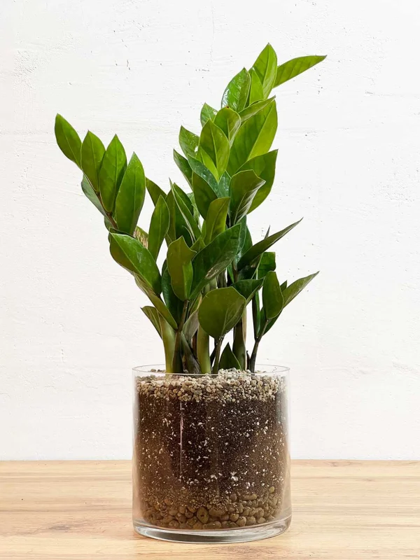 zamik-v-steklo-kashpo-14-45-1