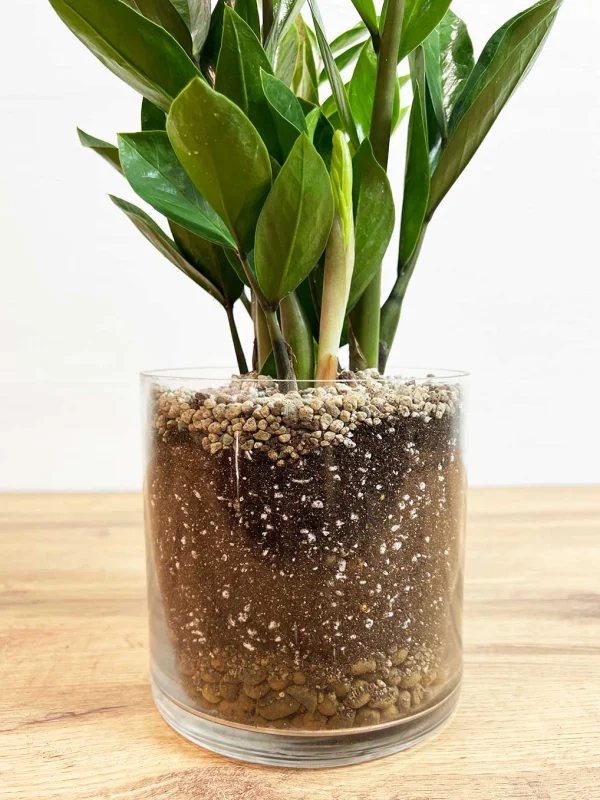 zamik-v-steklo-kashpo-14-45-2